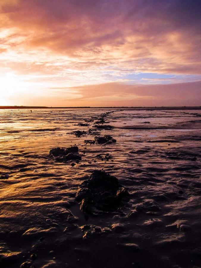 Vissershuisje Aan De Waddenzee Paesens Exterior photo
